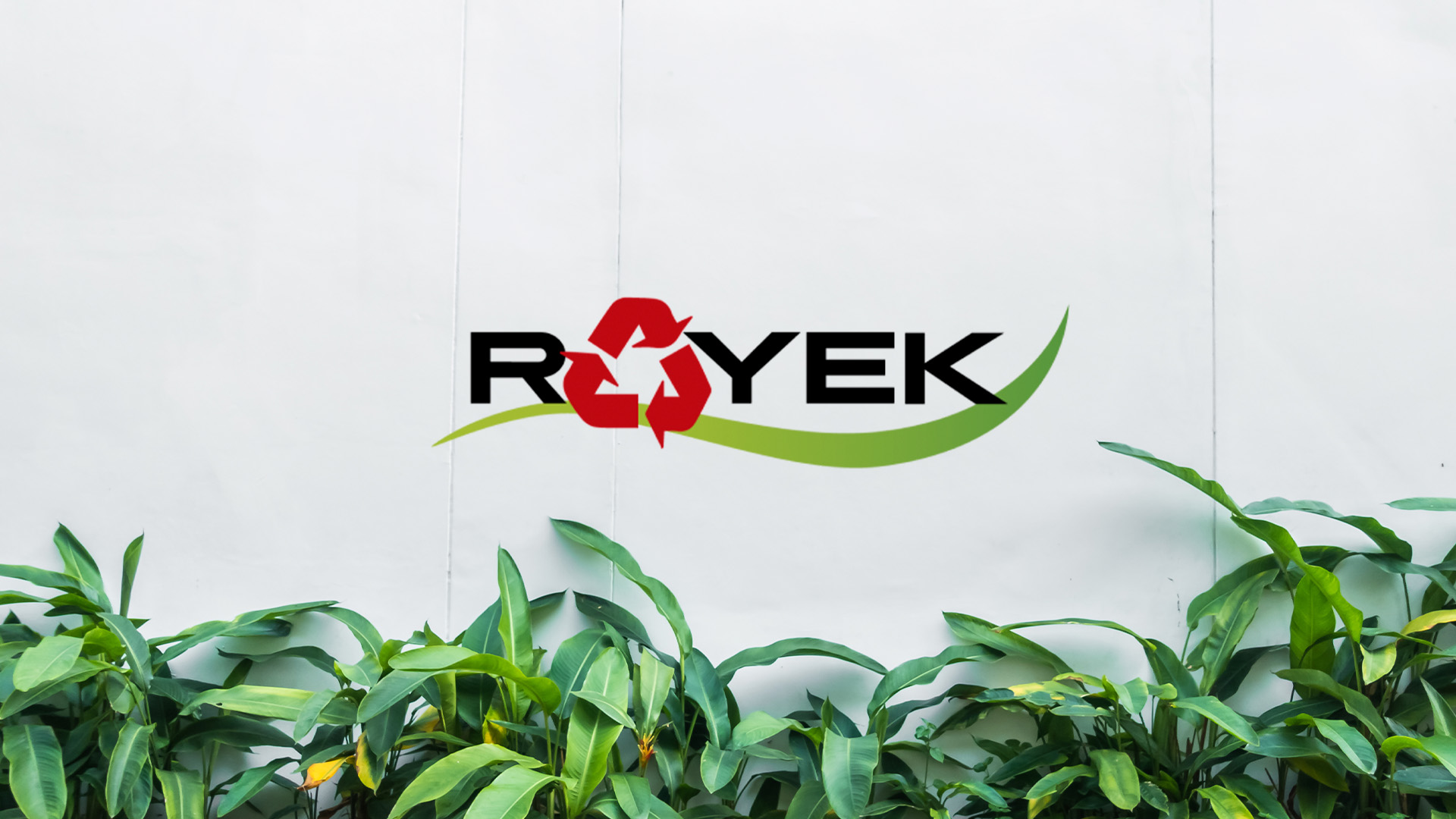 banner royek